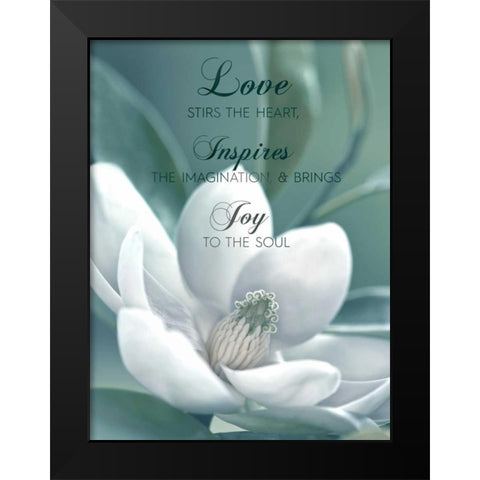 Joy To The Soul Black Modern Wood Framed Art Print by Delimont, Danita