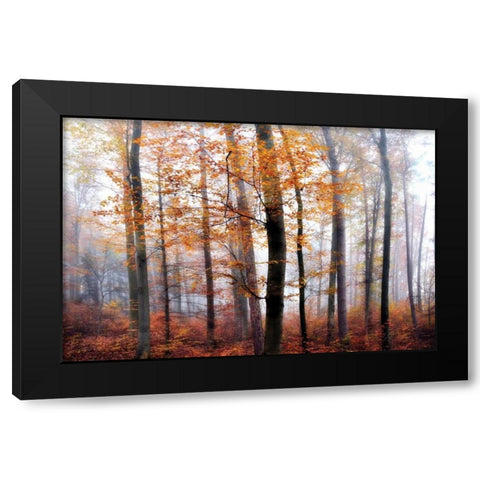 Lost in the Forest Black Modern Wood Framed Art Print with Double Matting by Weisz, Irene