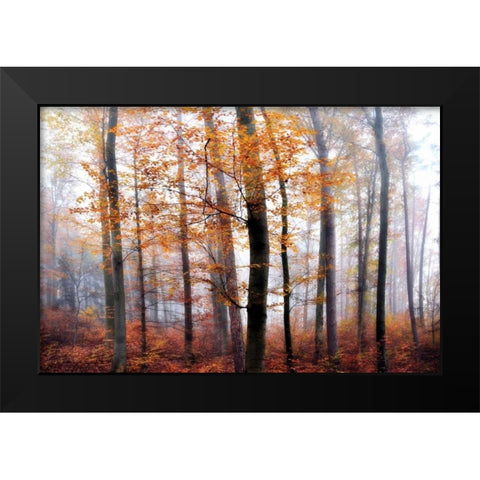 Lost in the Forest Black Modern Wood Framed Art Print by Weisz, Irene