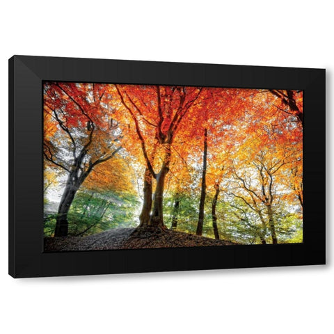 Prism of Light Black Modern Wood Framed Art Print by Van de Goor, Lars