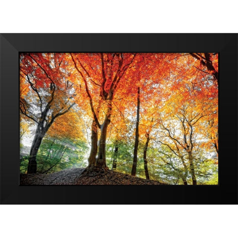 Prism of Light Black Modern Wood Framed Art Print by Van de Goor, Lars