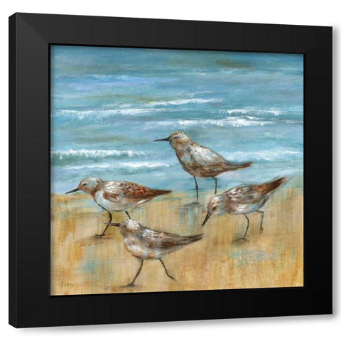 Sandpipers III Black Modern Wood Framed Art Print with Double Matting by Nan