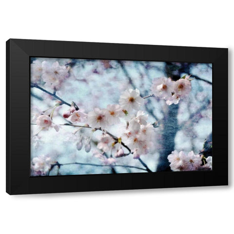 Flowering Joy Black Modern Wood Framed Art Print by Weisz, Irene