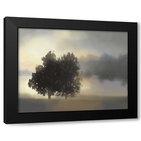 Misty Morning Black Modern Wood Framed Art Print by Nan