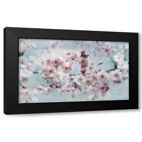 Scent of Spring Black Modern Wood Framed Art Print with Double Matting by Weisz, Irene