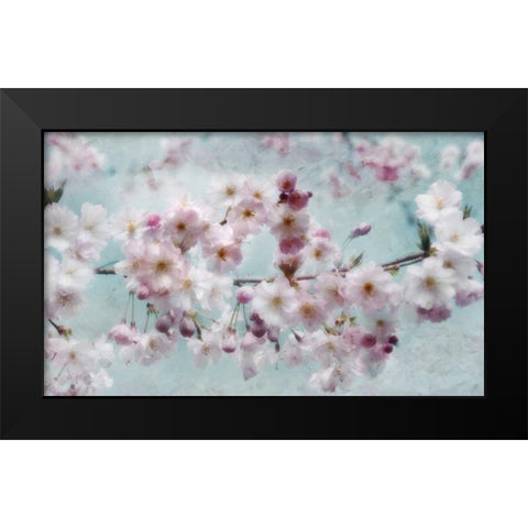 Scent of Spring Black Modern Wood Framed Art Print by Weisz, Irene
