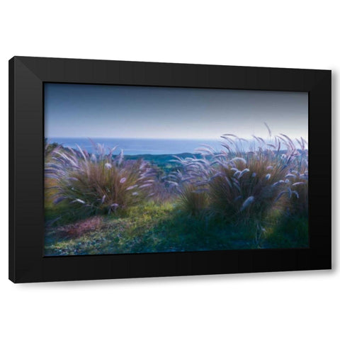 Above Mailbu Black Modern Wood Framed Art Print with Double Matting by Calascibetta, Mike