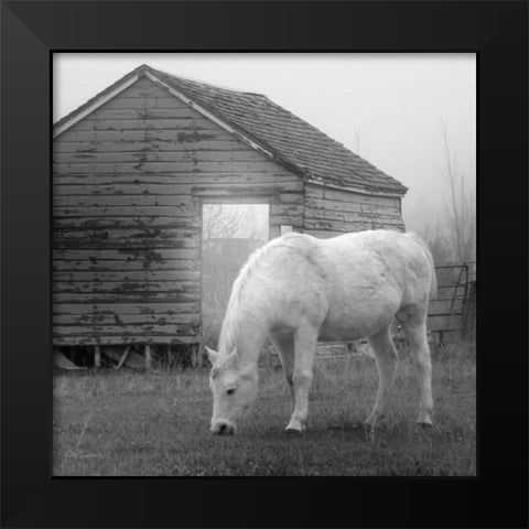 Misty Pasture Black Modern Wood Framed Art Print by Robinson, Carol