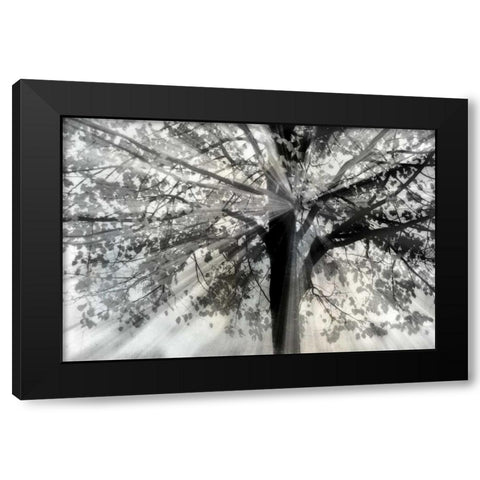 Story From Light and Black Modern Wood Framed Art Print with Double Matting by Weisz, Irene