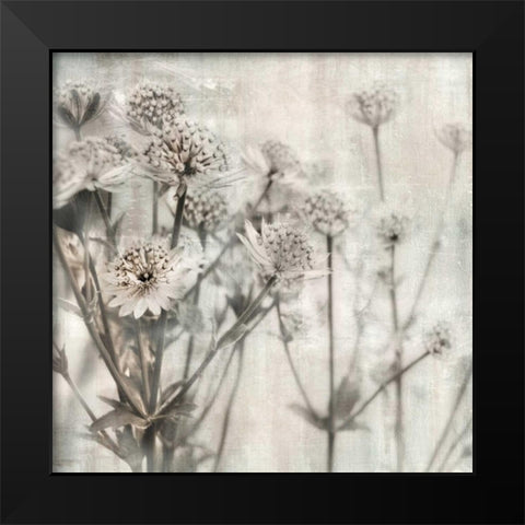 Natural Ones I Black Modern Wood Framed Art Print by Weisz, Irene