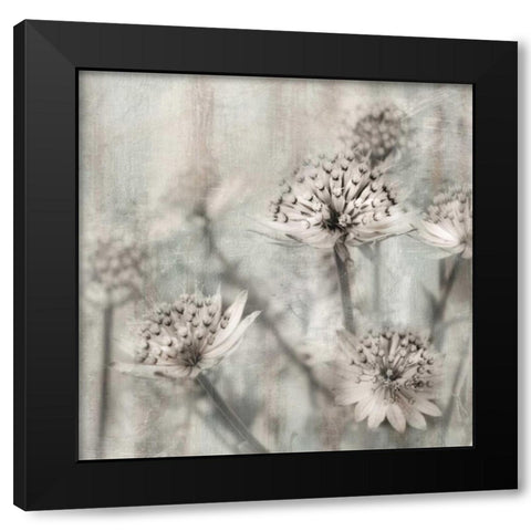 Natural Ones II Black Modern Wood Framed Art Print with Double Matting by Weisz, Irene