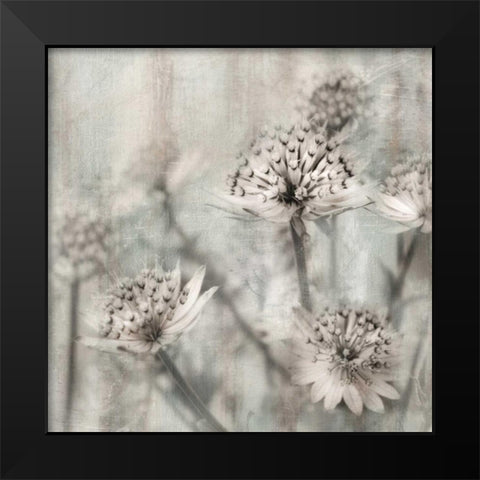 Natural Ones II Black Modern Wood Framed Art Print by Weisz, Irene