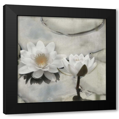 My Garden Pond II Black Modern Wood Framed Art Print by Weisz, Irene