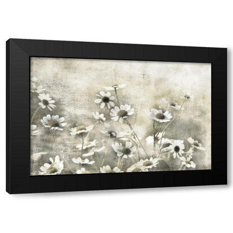 Wild Daisy Meadow I Black Modern Wood Framed Art Print by Weisz, Irene