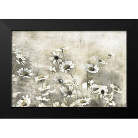 Wild Daisy Meadow I Black Modern Wood Framed Art Print by Weisz, Irene