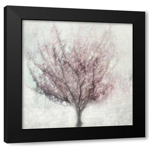 Blossoming of Spring Black Modern Wood Framed Art Print with Double Matting by Weisz, Irene