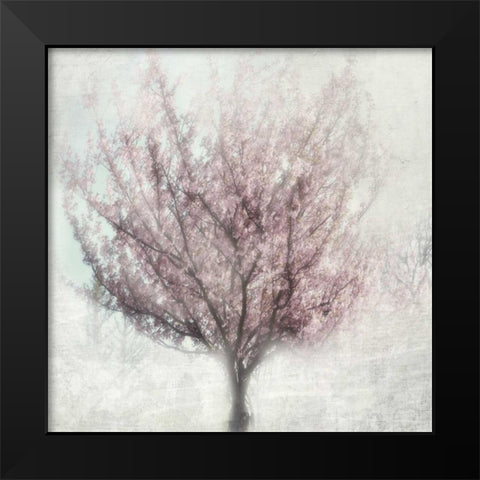 Blossoming of Spring Black Modern Wood Framed Art Print by Weisz, Irene
