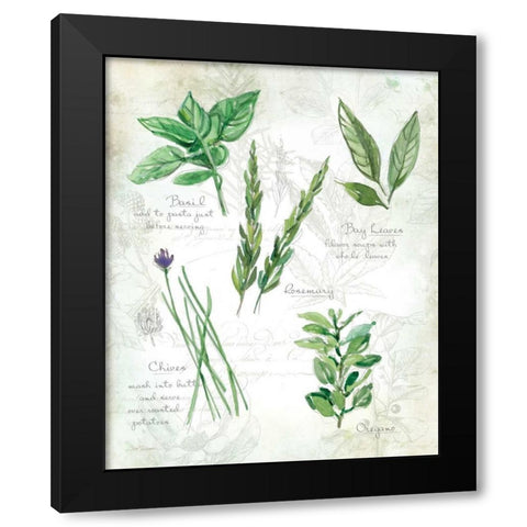 Fresh Herbs I Black Modern Wood Framed Art Print by Robinson, Carol