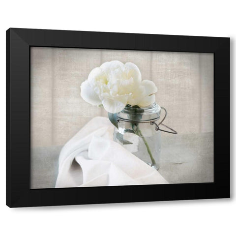 Mason Jar Bloom I Black Modern Wood Framed Art Print with Double Matting by Delimont, Danita