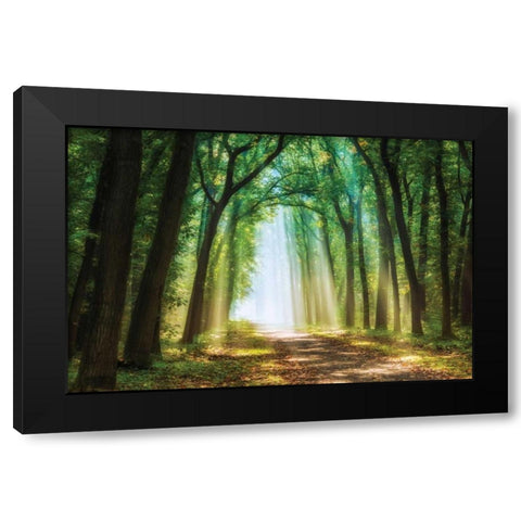 Curtain of Black Modern Wood Framed Art Print by Van de Goor, Lars