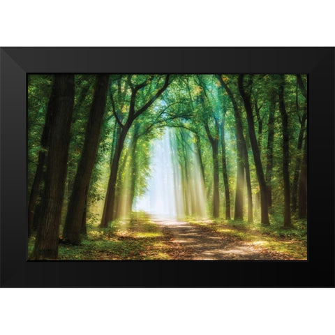 Curtain of Black Modern Wood Framed Art Print by Van de Goor, Lars