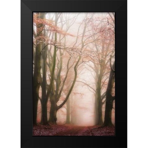 Pink Avenue Black Modern Wood Framed Art Print by Van de Goor, Lars