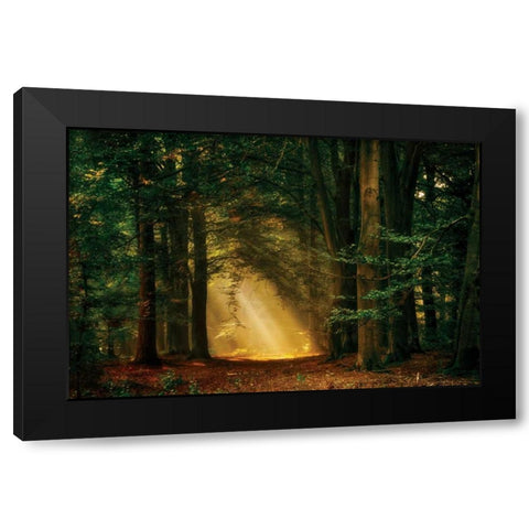 Shine On Black Modern Wood Framed Art Print by Van de Goor, Lars
