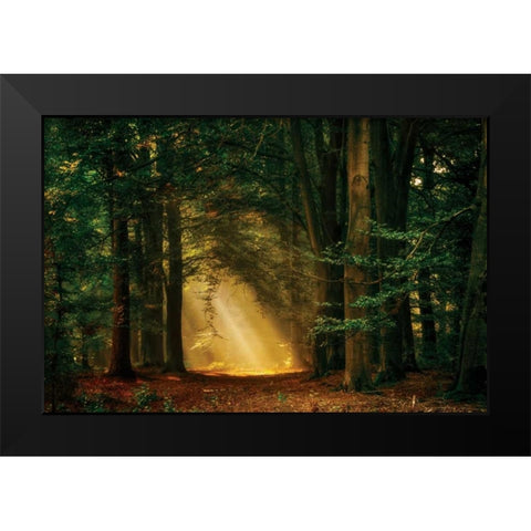 Shine On Black Modern Wood Framed Art Print by Van de Goor, Lars