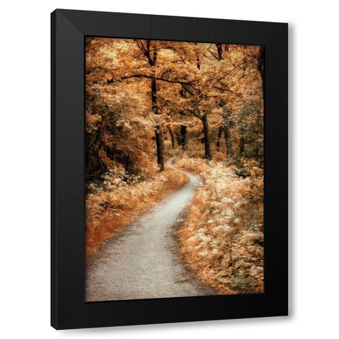 Winding Path Black Modern Wood Framed Art Print by Van de Goor, Lars
