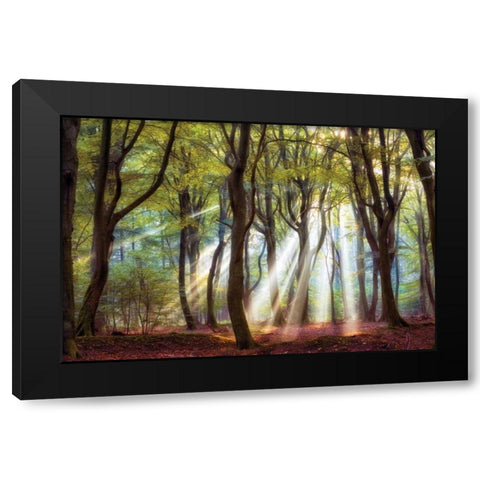 Majestic Black Modern Wood Framed Art Print with Double Matting by Van de Goor, Lars