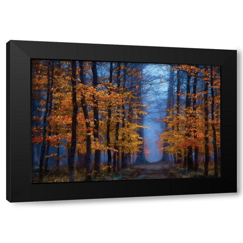 The Path of Black Modern Wood Framed Art Print by Van de Goor, Lars