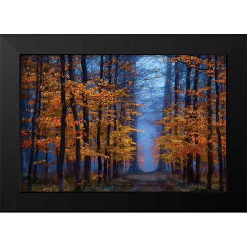 The Path of Black Modern Wood Framed Art Print by Van de Goor, Lars