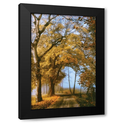 The Road to You Black Modern Wood Framed Art Print by Van de Goor, Lars
