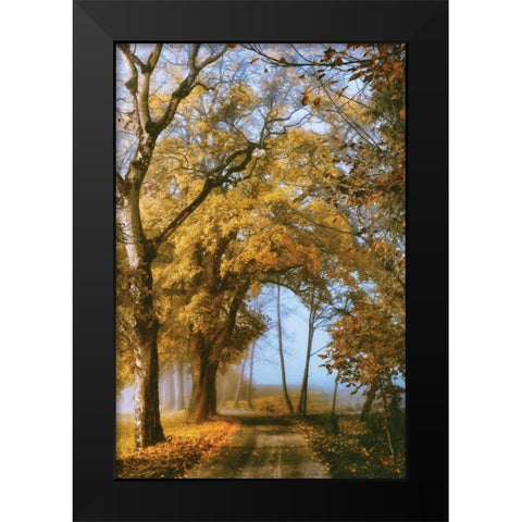 The Road to You Black Modern Wood Framed Art Print by Van de Goor, Lars