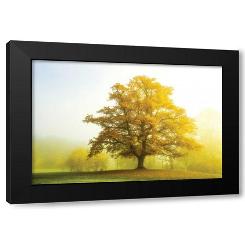 The Sentinel Black Modern Wood Framed Art Print by Van de Goor, Lars