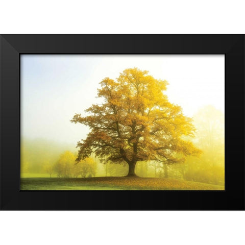 The Sentinel Black Modern Wood Framed Art Print by Van de Goor, Lars