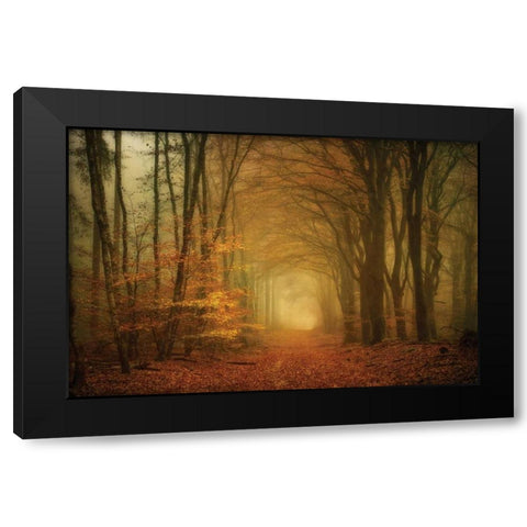 Early Light Black Modern Wood Framed Art Print by Van de Goor, Lars