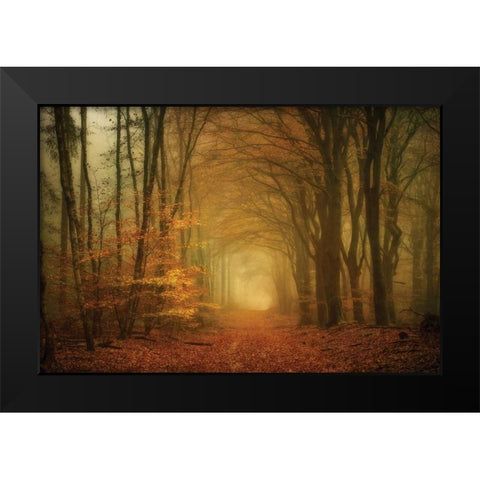 Early Light Black Modern Wood Framed Art Print by Van de Goor, Lars