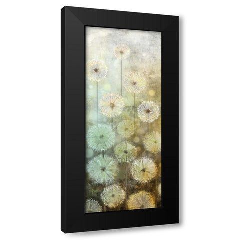 Make A Wish II Black Modern Wood Framed Art Print with Double Matting by Knutsen, Conrad