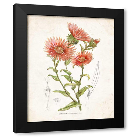 Botanical I Black Modern Wood Framed Art Print by Nan