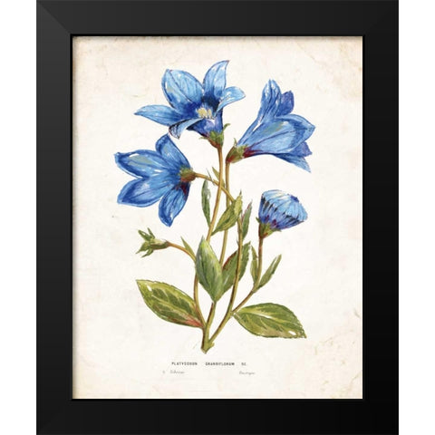 Botanical II Black Modern Wood Framed Art Print by Nan