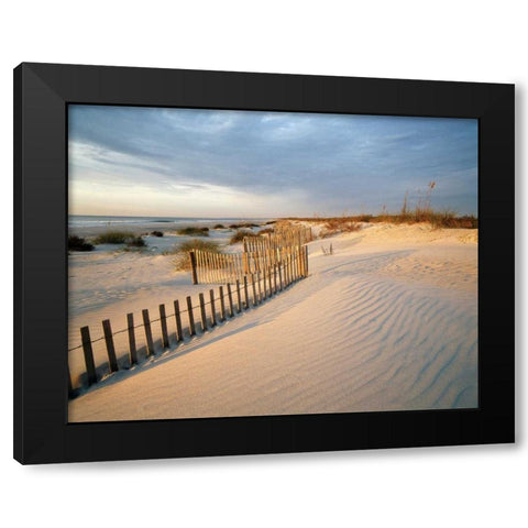 Huntington Black Modern Wood Framed Art Print by Delimont, Danita