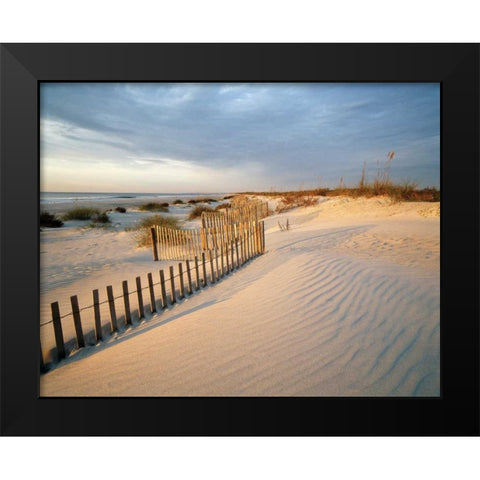 Huntington Black Modern Wood Framed Art Print by Delimont, Danita