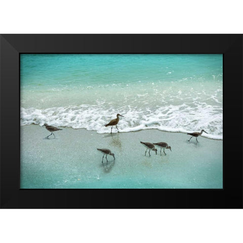 Sandpiper Beach Party Black Modern Wood Framed Art Print by Nan