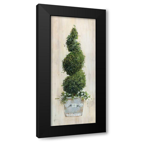 Spiral Topiary Black Modern Wood Framed Art Print with Double Matting by Swatland, Sally