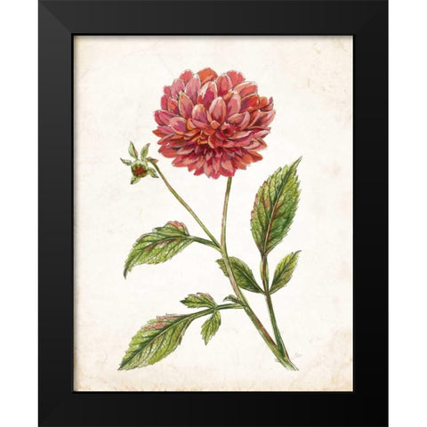 Scarlet Botanical I Black Modern Wood Framed Art Print by Nan