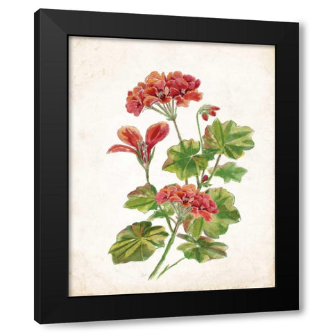 Scarlet Botanical II Black Modern Wood Framed Art Print with Double Matting by Nan