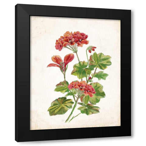 Scarlet Botanical II Black Modern Wood Framed Art Print by Nan