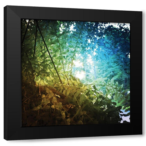 Rainbow Fern Black Modern Wood Framed Art Print with Double Matting by Nan