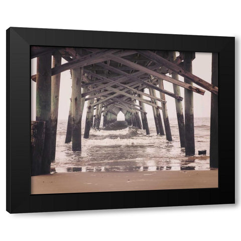 Under the Black Modern Wood Framed Art Print with Double Matting by Delimont, Danita
